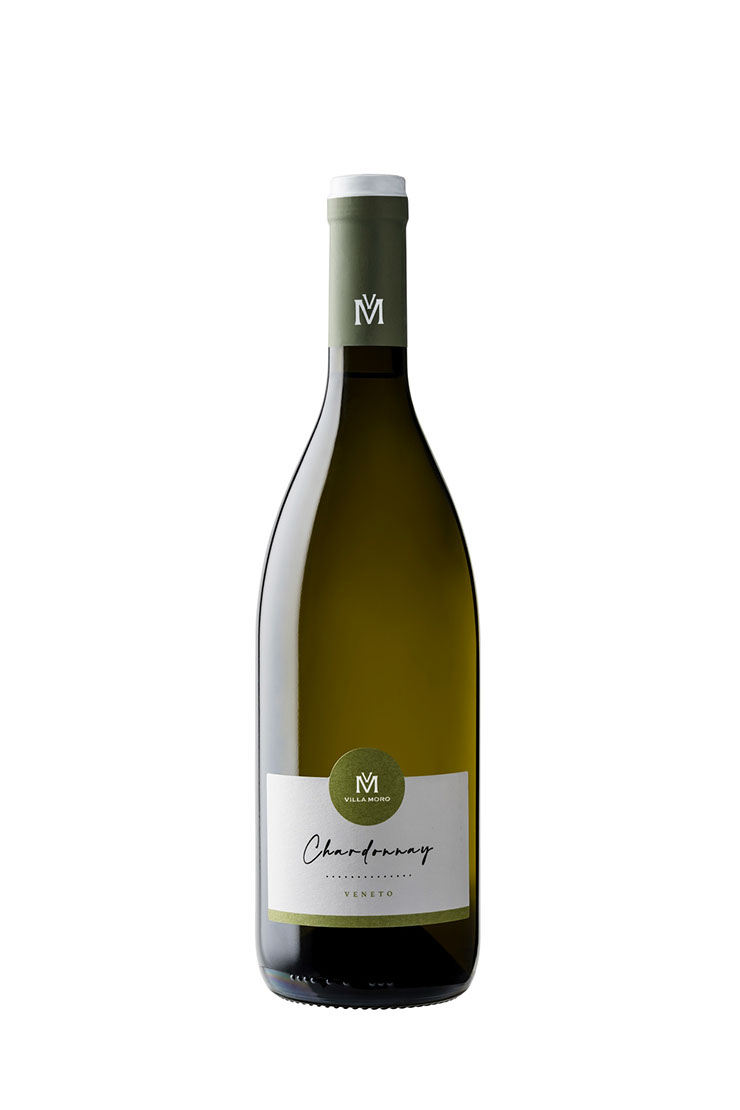 Chardonnay - Villa Moro