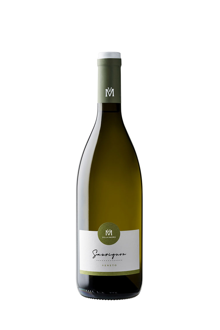 Sauvignon - Villa Moro